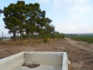 Terreno rustico en Partida de Alhorines, Villena (Alicante) 11