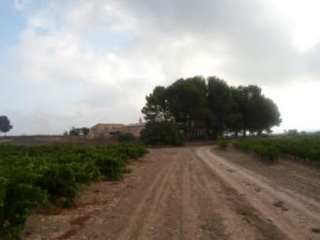 Terreno rustico en Partida de Alhorines, Villena (Alicante) 14