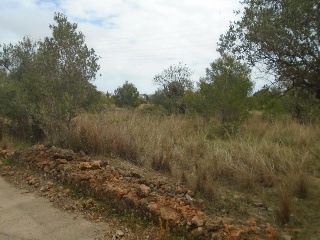 Suelo urbanizable no sectorizado en Paraje del Moro 8