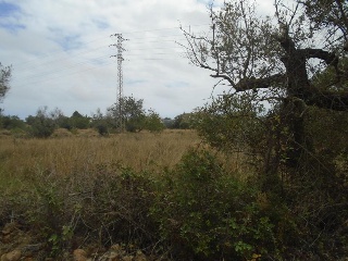 Suelo urbanizable no sectorizado en Paraje del Moro 10