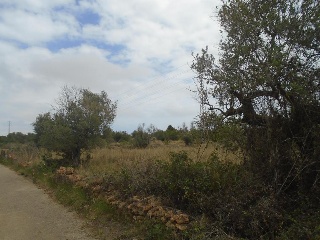 Suelo urbanizable no sectorizado en Paraje del Moro 12