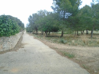 Suelo urbanizable no sectorizado en Paraje del Moro 16