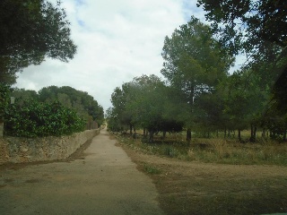 Suelo urbanizable no sectorizado en Paraje del Moro 17