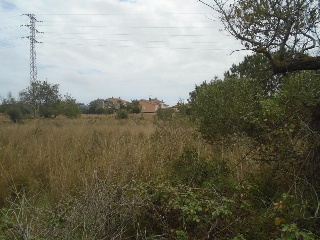Suelo urbanizable no sectorizado en Paraje del Moro 22