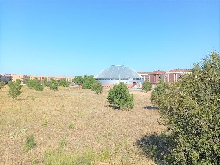 Proyecto Actuacion S-15 3