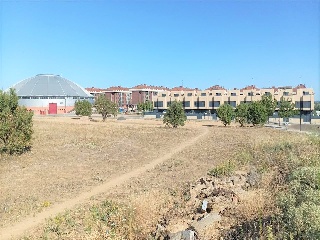 Proyecto Actuacion S-15 5