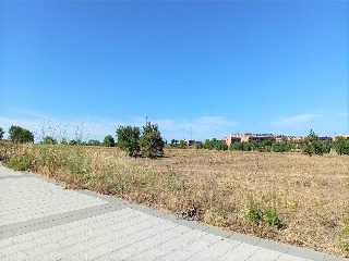 Proyecto Actuacion S-15 6