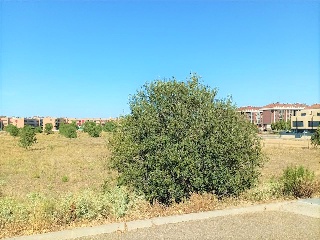 Proyecto Actuacion S-15 9