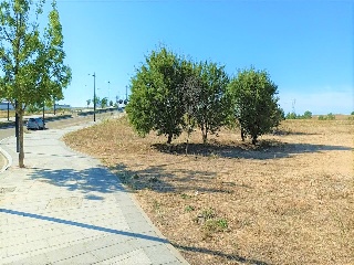 Proyecto Actuacion S-15 14