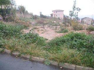 ALTURY 11