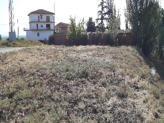 Pisos banco Alcoletge