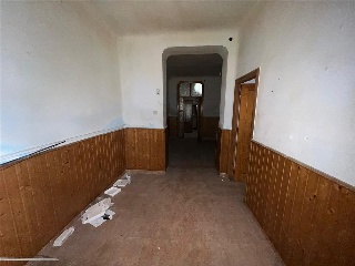 OLMEDA 5