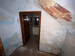 OLMEDA 13