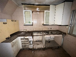 OLMEDA 14