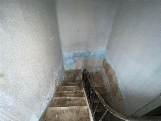 OLMEDA 17