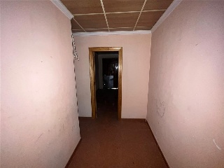 OLMEDA 23