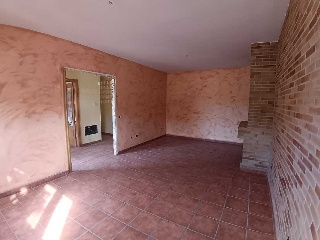 ALAMOS 12