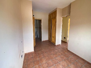 ALAMOS 15