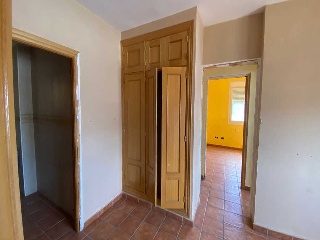 ALAMOS 23