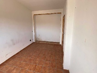 ALAMOS 24
