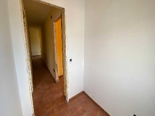 ALAMOS 30