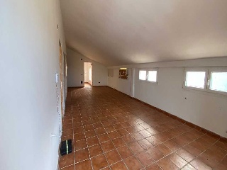 ALAMOS 35