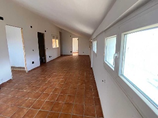 ALAMOS 38
