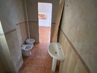 ALAMOS 41