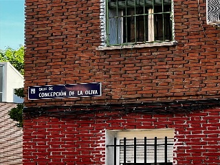 CONCEPCION DE LA OLIVA 4