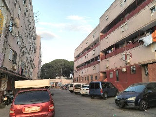 Doctor Giron Segura 2