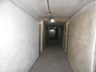 Mezo 5