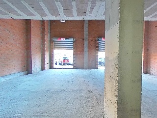 Jose Antonio Rodriguez S 5