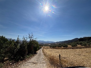 PARTIDO RURAL LA CIMADA 5