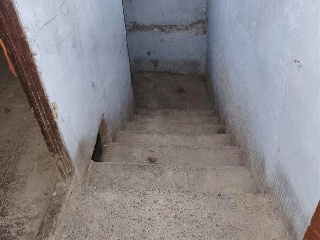 Medio 6