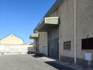 Pinos Puente 5