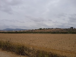PP GRANADOS 2