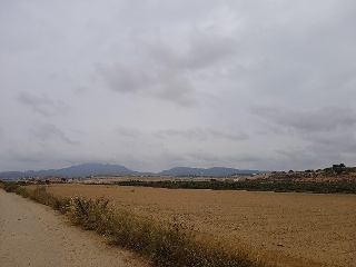 PP GRANADOS 3