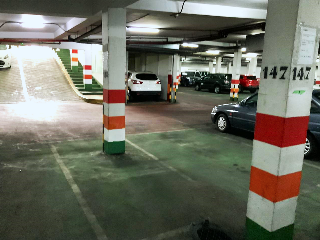 MANOLO MILLARES (C.C. BUGANVILLAS) 6