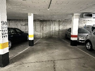 Pinto Felo Monzon 10