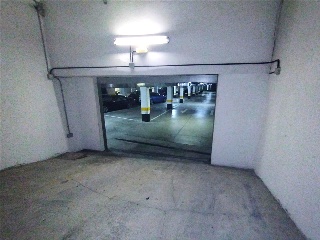 Pinto Felo Monzon 11