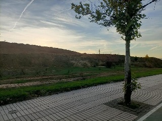 Camino Finca Bastana 2