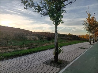 Camino Finca Bastana 3
