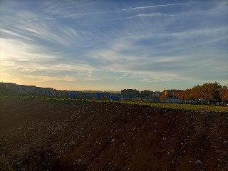 Camino Finca Bastana 6