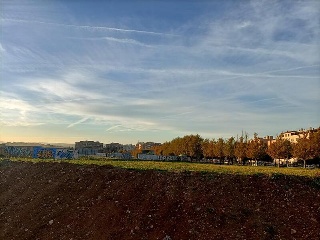 Camino Finca Bastana 7