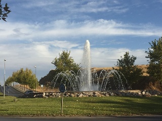 Camino Finca Bastana 8