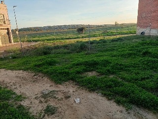 Camino Finca Bastana 5