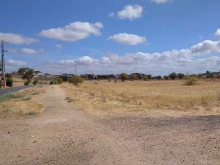 Camino Finca Bastana 6