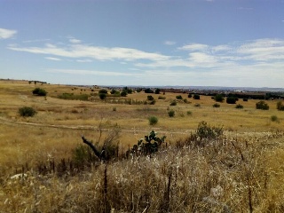 Camino Finca Bastana 7