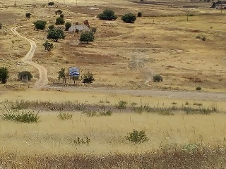 Camino Finca Bastana 8