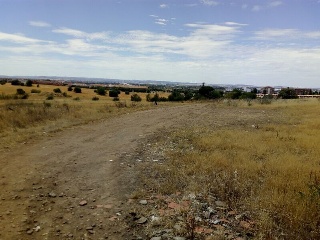 Camino Finca Bastana 9